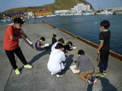 漁組前の港